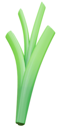 footer image